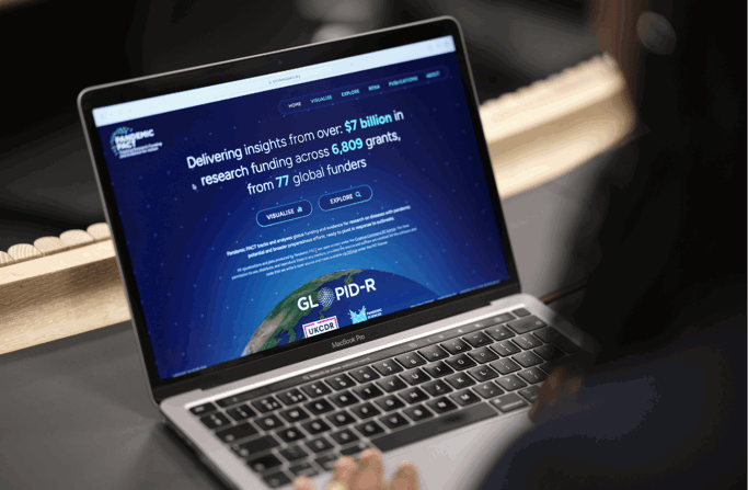 A pperson looking at the Pandemic platform on laptop